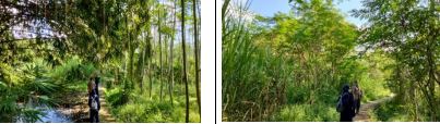Pemberdayaan Ecogreen lewat Wakaf Oksigen: Inovasi Hijau dari LAZISMU Bandongan