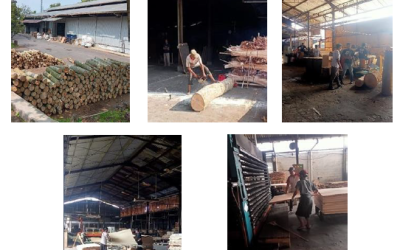 Analisis Risiko di Pabrik Plywood Magelang: Petakan 61 Bahaya Kerja, Soroti Urgensi K3 di Lantai Produksi