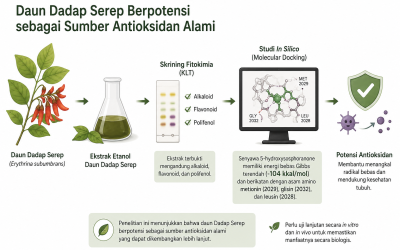 Daun Dadap Serep Berpotensi Jadi Sumber Antioksidan Alami