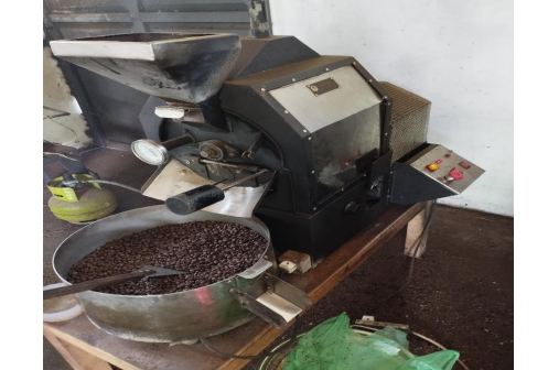 Analisis LCA Ungkap Inefisiensi Energi Pengolahan Kopi Ngropoh