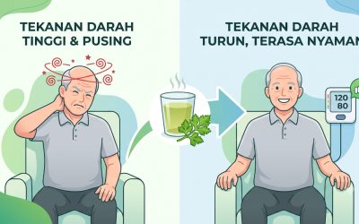 Sederhana Tapi Ampuh, Rebusan Daun Seledri Menjadikan Hipertensi Terkontrol